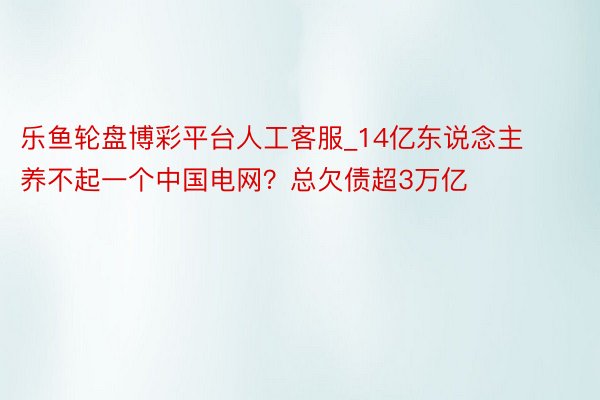 乐鱼轮盘博彩平台人工客服_14亿东说念主养不起一个中国电网？总欠债超3万亿